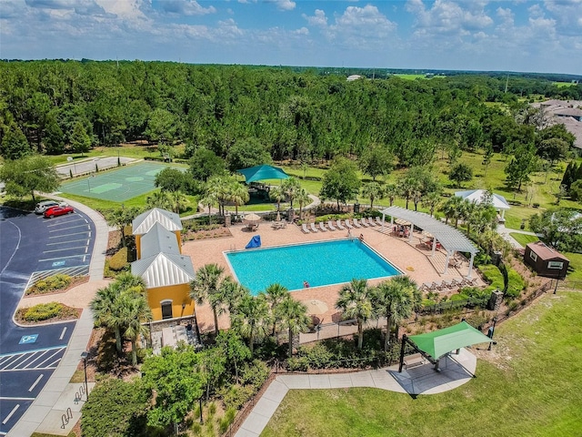 view of swimming pool featuring a patio area