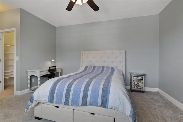 carpeted bedroom with a walk in closet, a closet, and ceiling fan