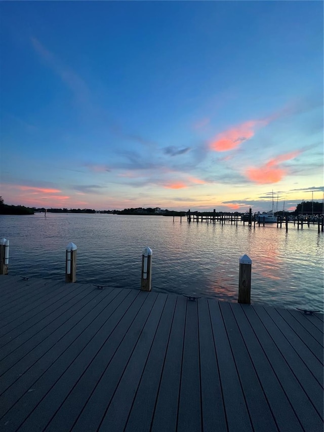 dock area featuring a water view