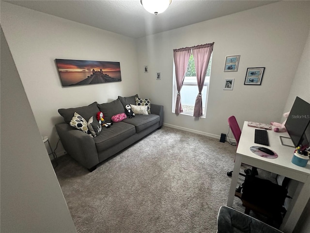 living room with carpet floors