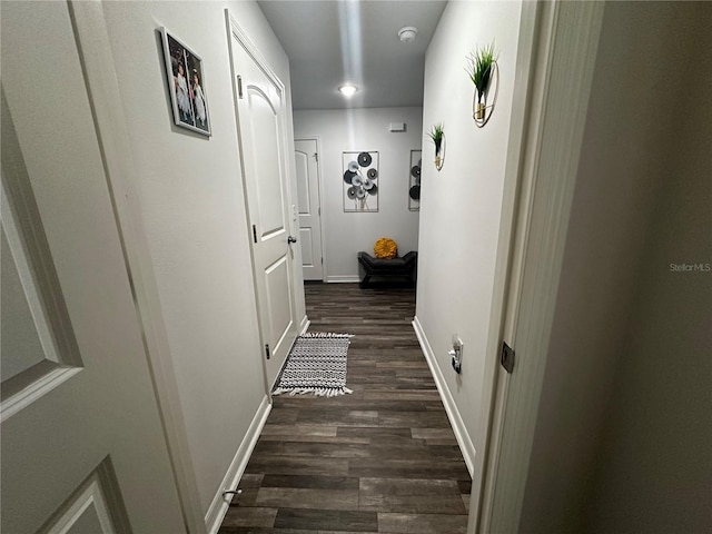 corridor featuring dark hardwood / wood-style flooring