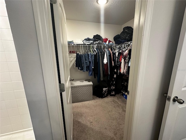 walk in closet featuring carpet flooring