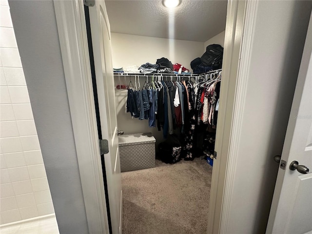 spacious closet with carpet flooring