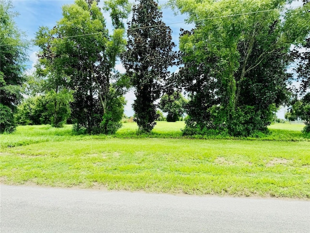 Listing photo 2 for Fairview Heights Rd, Zephyrhills FL 33541