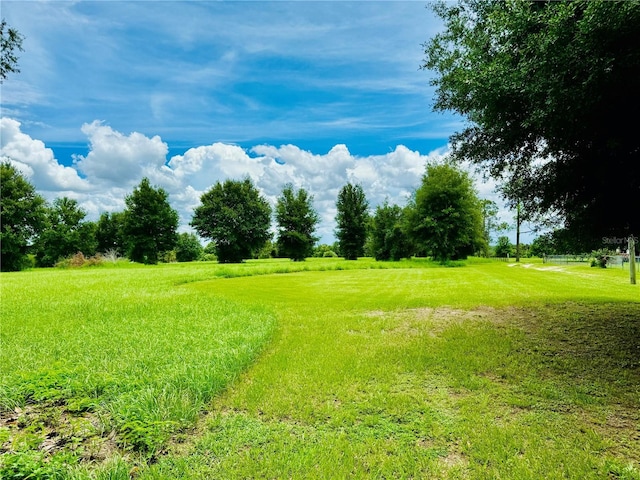 Fairview Heights Rd, Zephyrhills, FL 33541 - photo 3