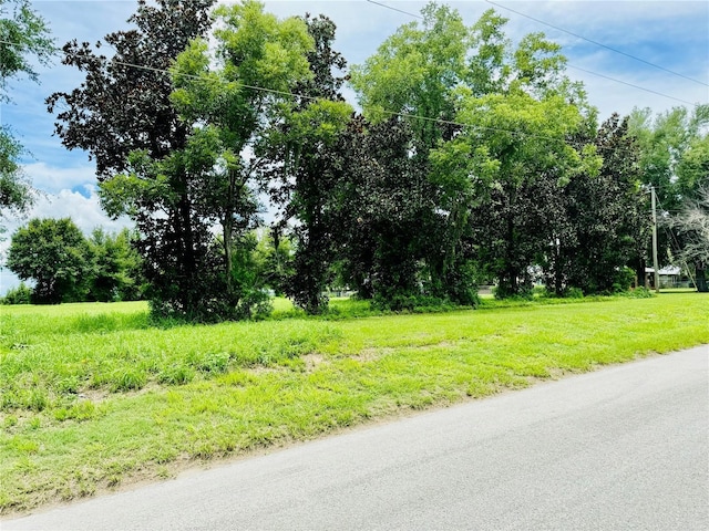 Fairview Heights Rd, Zephyrhills, FL 33541 - photo 5