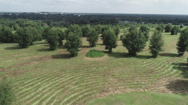 Fairview Heights Rd, Zephyrhills, FL 33541 - photo 8