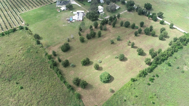 Fairview Heights Rd, Zephyrhills, FL 33541 - photo 10