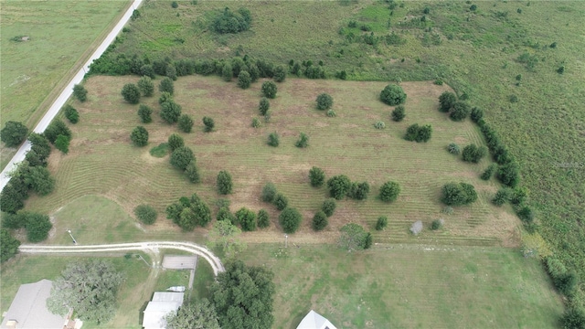 Fairview Heights Rd, Zephyrhills, FL 33541 - photo 12