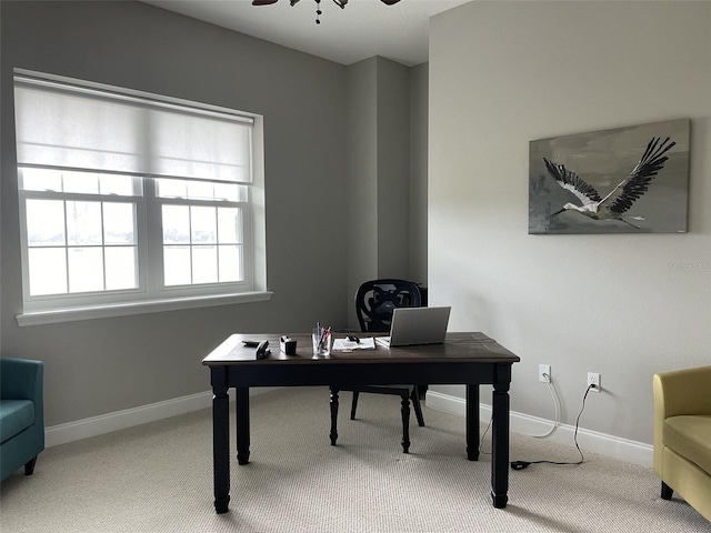 office space featuring ceiling fan and carpet flooring