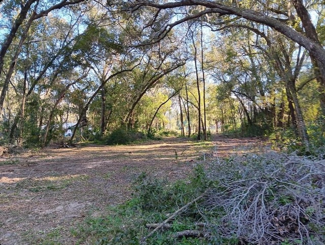 219 George St, Interlachen FL, 32148 land for sale