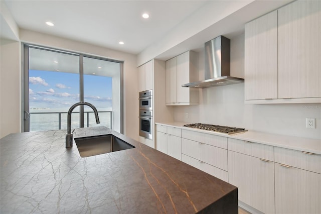 kitchen featuring a water view, sink, wall chimney exhaust hood, and appliances with stainless steel finishes