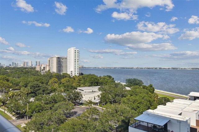 drone / aerial view with a water view