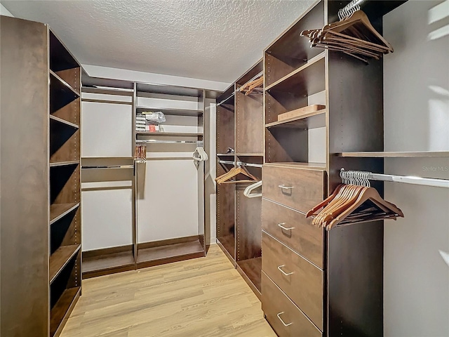 spacious closet with light hardwood / wood-style flooring