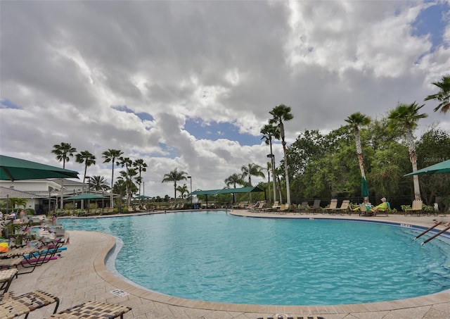 view of pool featuring a patio