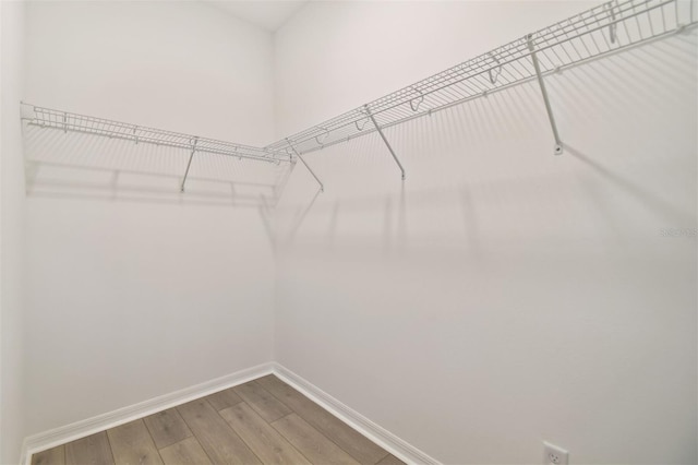 spacious closet featuring wood-type flooring