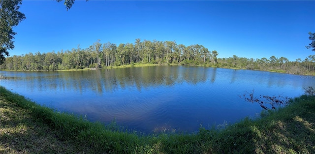 property view of water with a view of trees