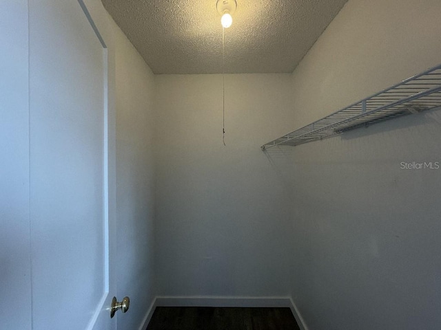 spacious closet with hardwood / wood-style flooring