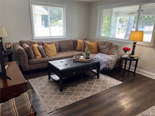 living room with dark hardwood / wood-style flooring