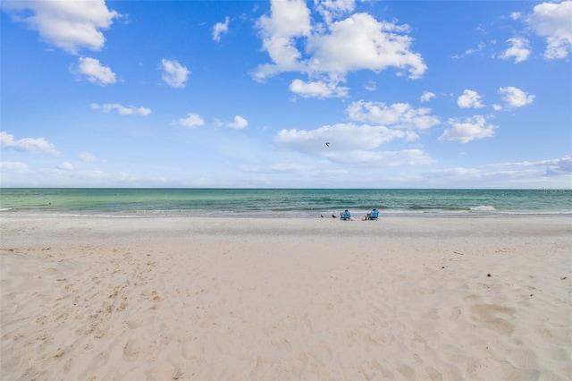 water view featuring a beach view