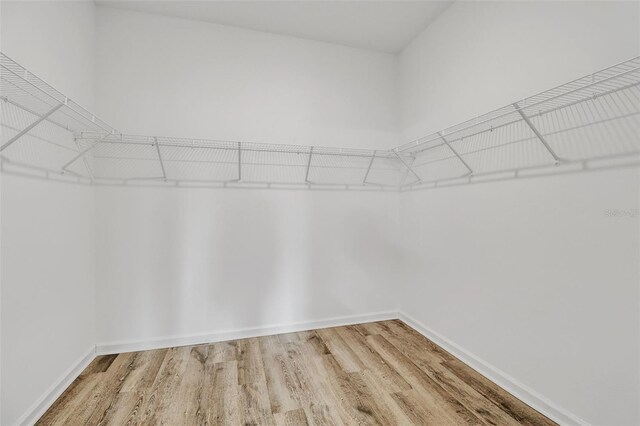 walk in closet with hardwood / wood-style floors