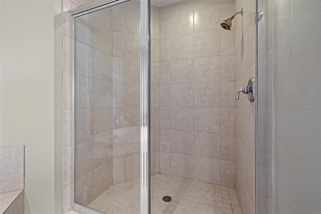 bathroom featuring a shower with door