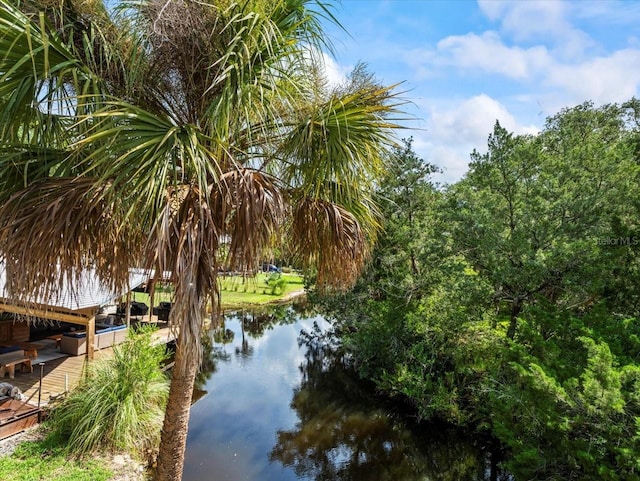 6554 S Beagle Dr, Homosassa, FL 34448 - photo 45