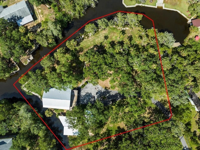 6554 S Beagle Dr, Homosassa, FL 34448 - photo 7