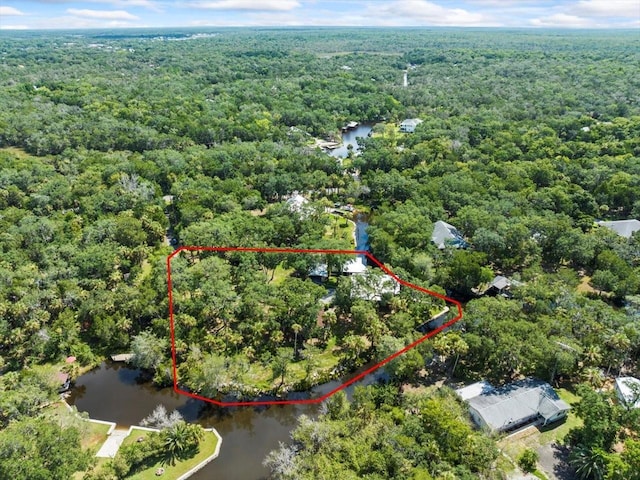 6554 S Beagle Dr, Homosassa, FL 34448 - photo 9