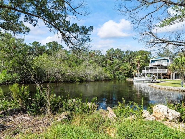 6554 S Beagle Dr, Homosassa, FL 34448 - photo 57