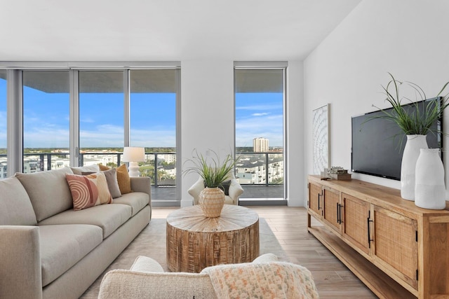 living room featuring a healthy amount of sunlight, light hardwood / wood-style flooring, and floor to ceiling windows