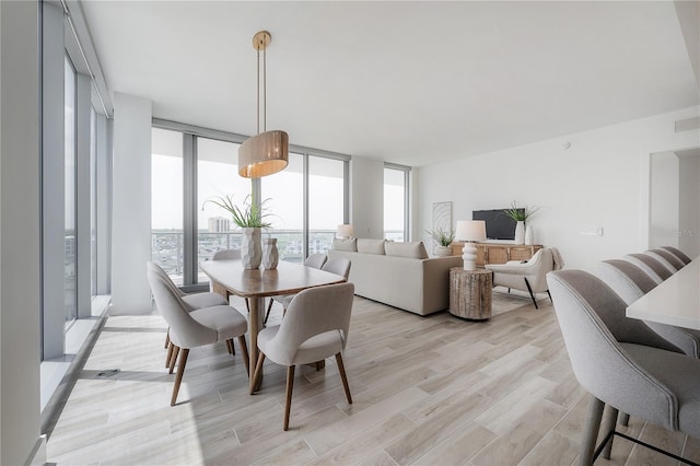 dining room featuring expansive windows and light hardwood / wood-style flooring