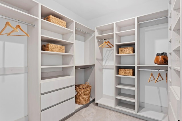 view of spacious closet