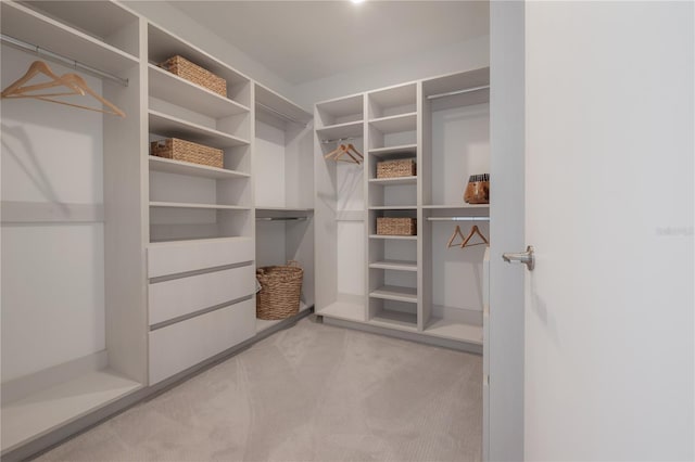 spacious closet featuring light colored carpet