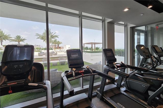 exercise room featuring a wealth of natural light