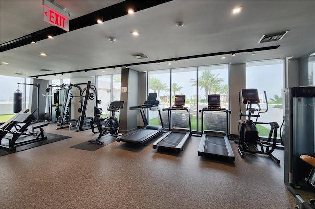 gym with a wall of windows and a wealth of natural light