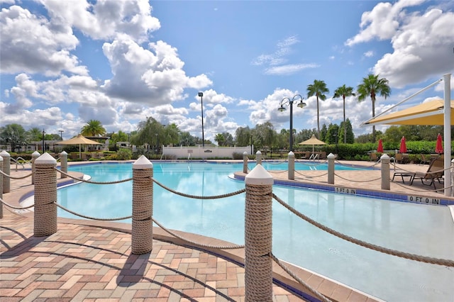 view of pool featuring a patio