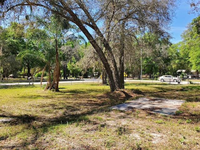 38009 Palm Grove Dr, Zephyrhills FL, 33542 land for sale