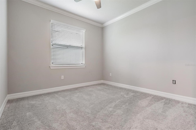 carpeted spare room with ceiling fan and crown molding