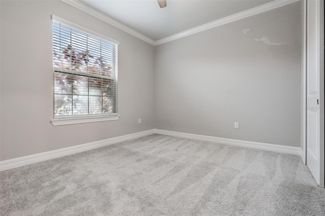 spare room with ceiling fan, carpet flooring, and crown molding