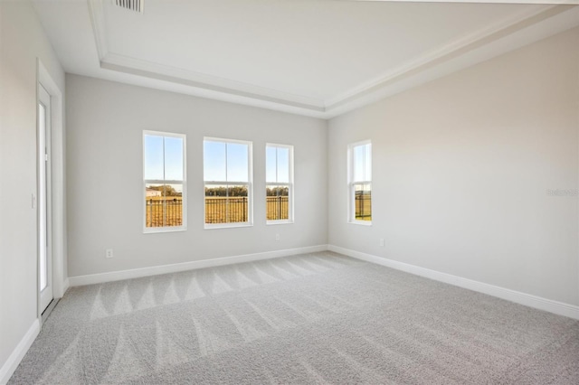 10426 Longmeadow Ave, Parrish, FL 34219 - unfurnished room featuring a tray ceiling, carpet, and baseboards