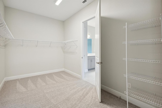 walk in closet with light colored carpet