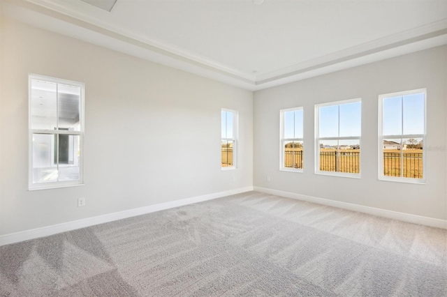 10324 Longmeadow Ave, Parrish, FL 34219 - unfurnished room with light colored carpet and baseboards