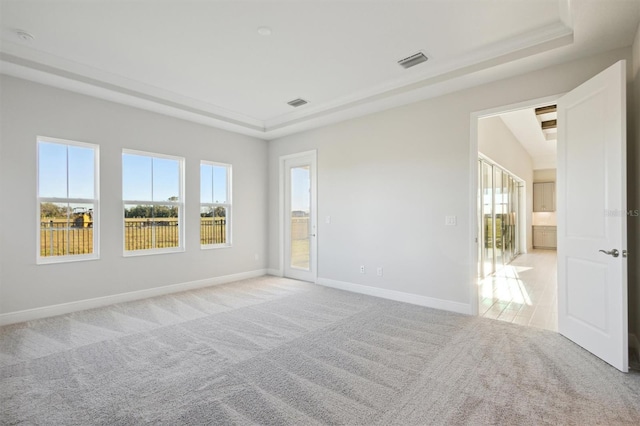 carpeted empty room with a raised ceiling and a wealth of natural light