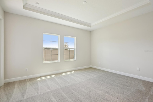 spare room featuring a raised ceiling, ornamental molding, and light colored carpet