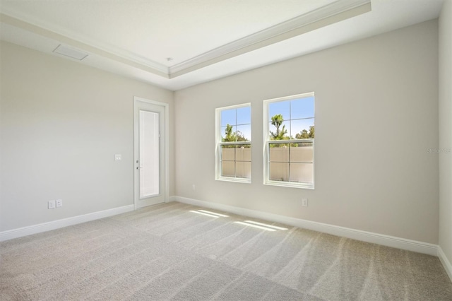 carpeted spare room with a raised ceiling