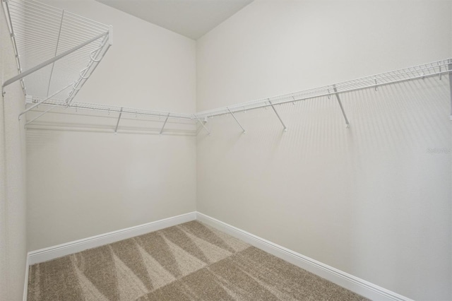 spacious closet featuring carpet floors