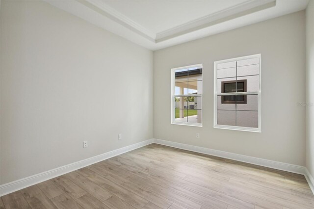 empty room with a raised ceiling and light wood-type flooring