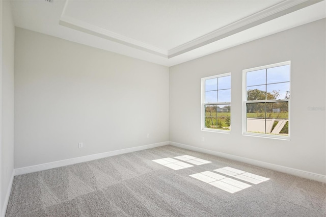 empty room with light carpet and a raised ceiling