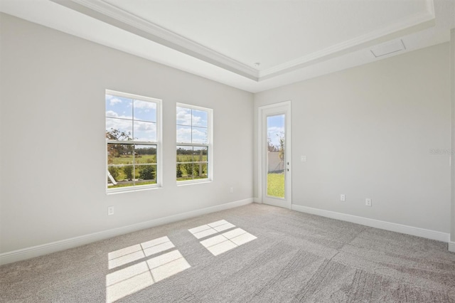 carpeted empty room featuring a raised ceiling and ornamental molding